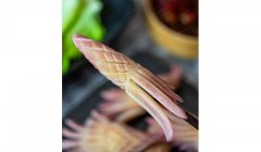 火箭鱿鱼Rocket squid